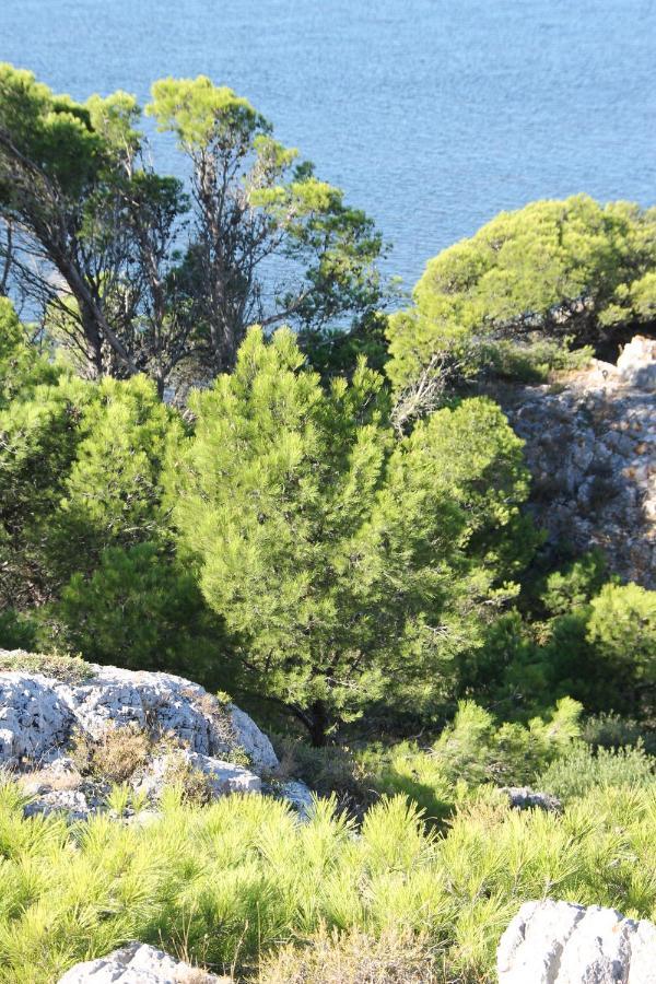 La Maison Narbonnaise Narbonne Eksteriør bilde